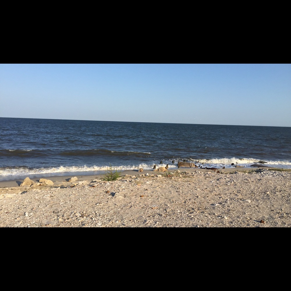 Meet your Posher, Sam